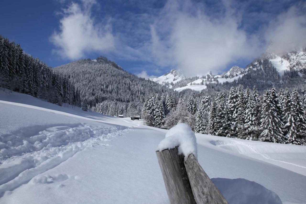Appartement Torgon skigebied Portes du Soleil Buitenkant foto